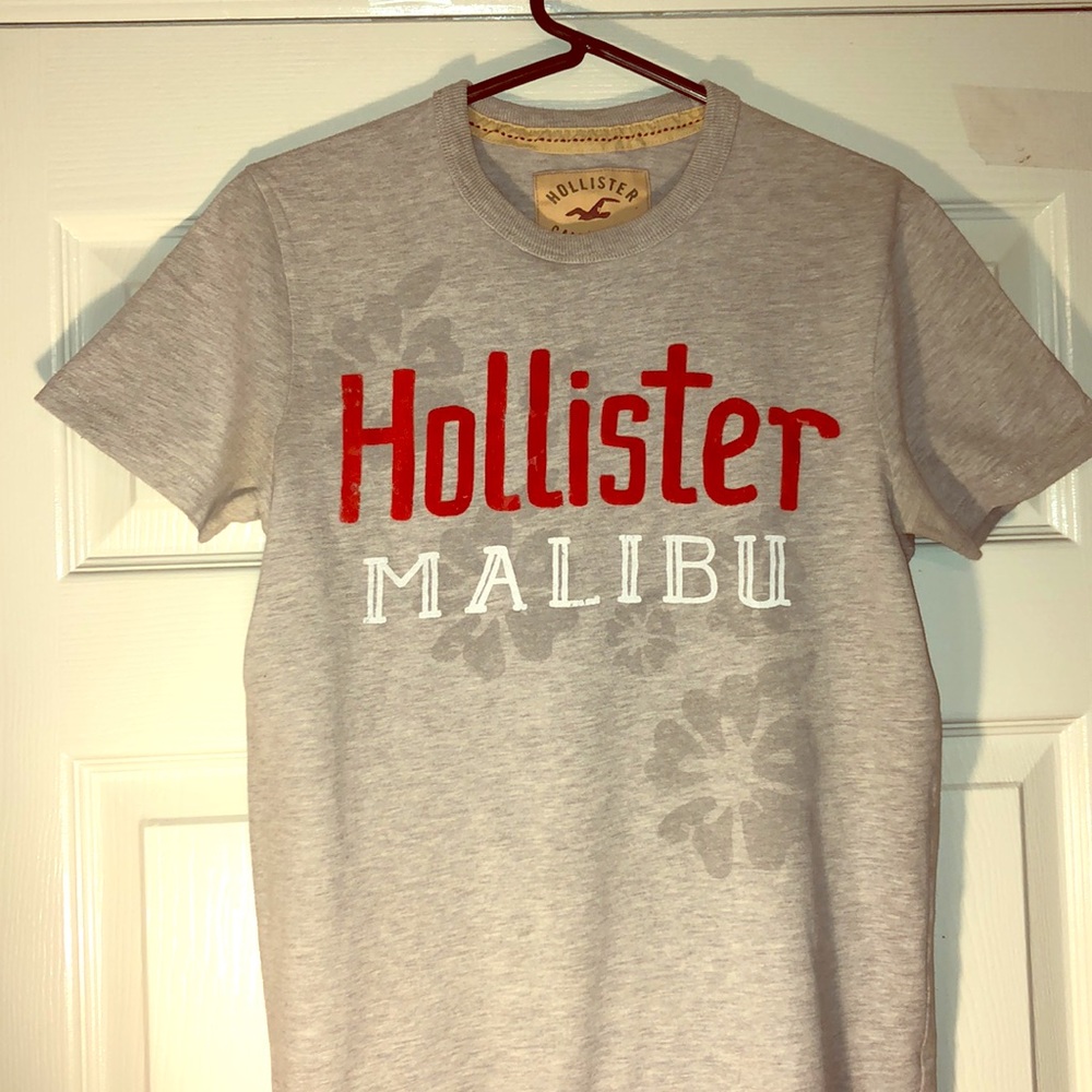 Men's Gray Hollister Malibu T-Shirt